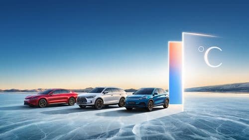 From China to the World: BYD's Record-Breaking Q3