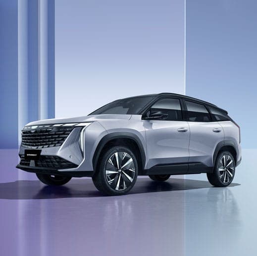 2024 Geely Starray GF+ — photo 1