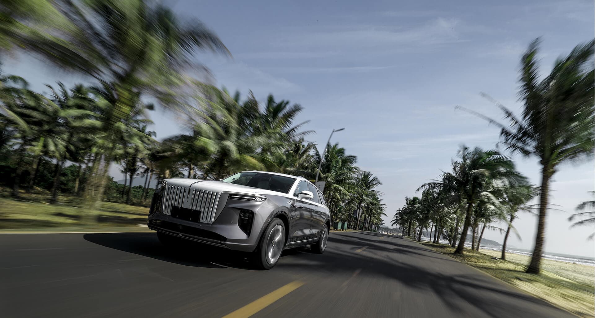2024 Hongqi E-HS9 Deluxe (6 Seats) — photo 4