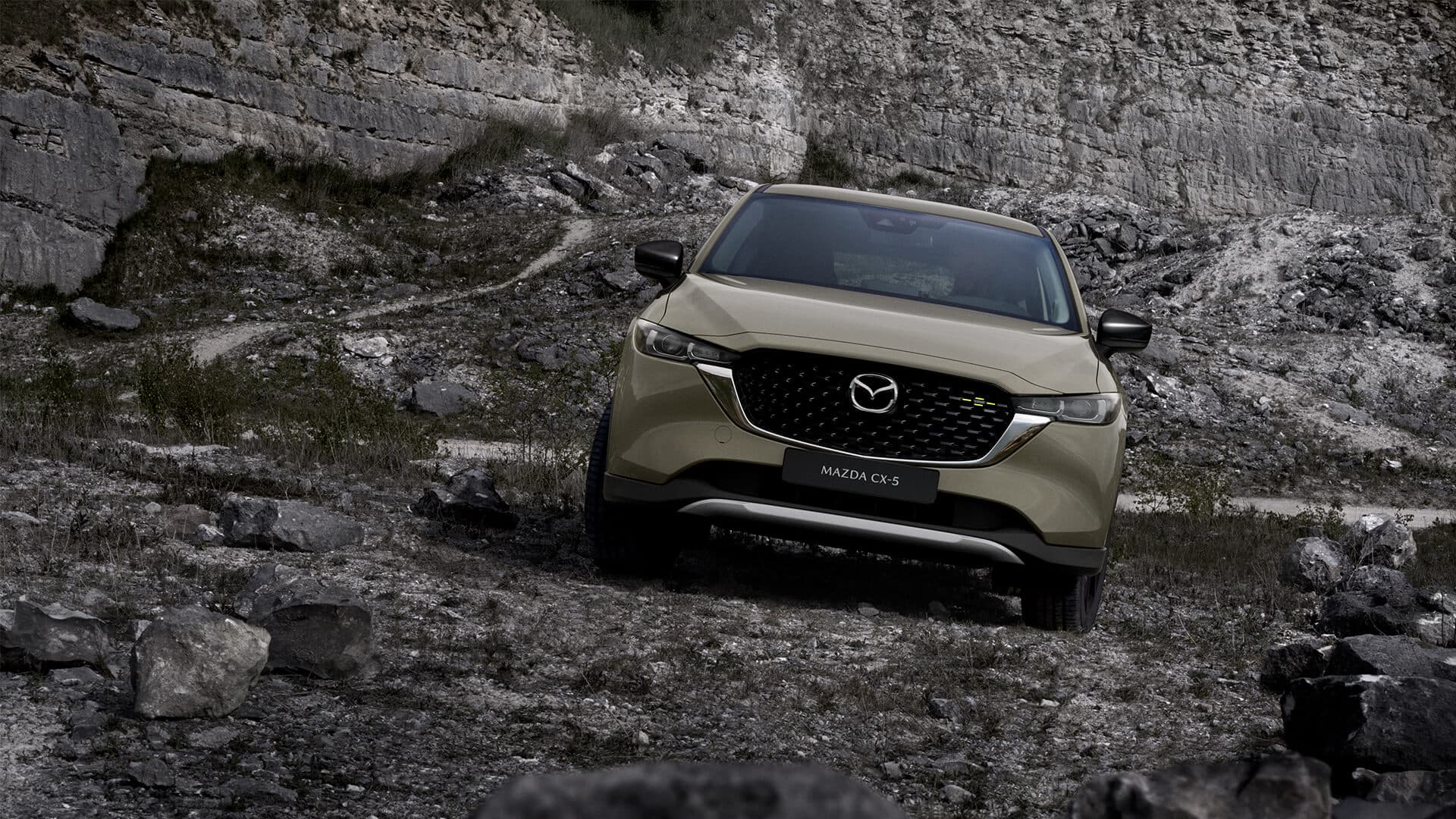 Vehicle gallery image 8