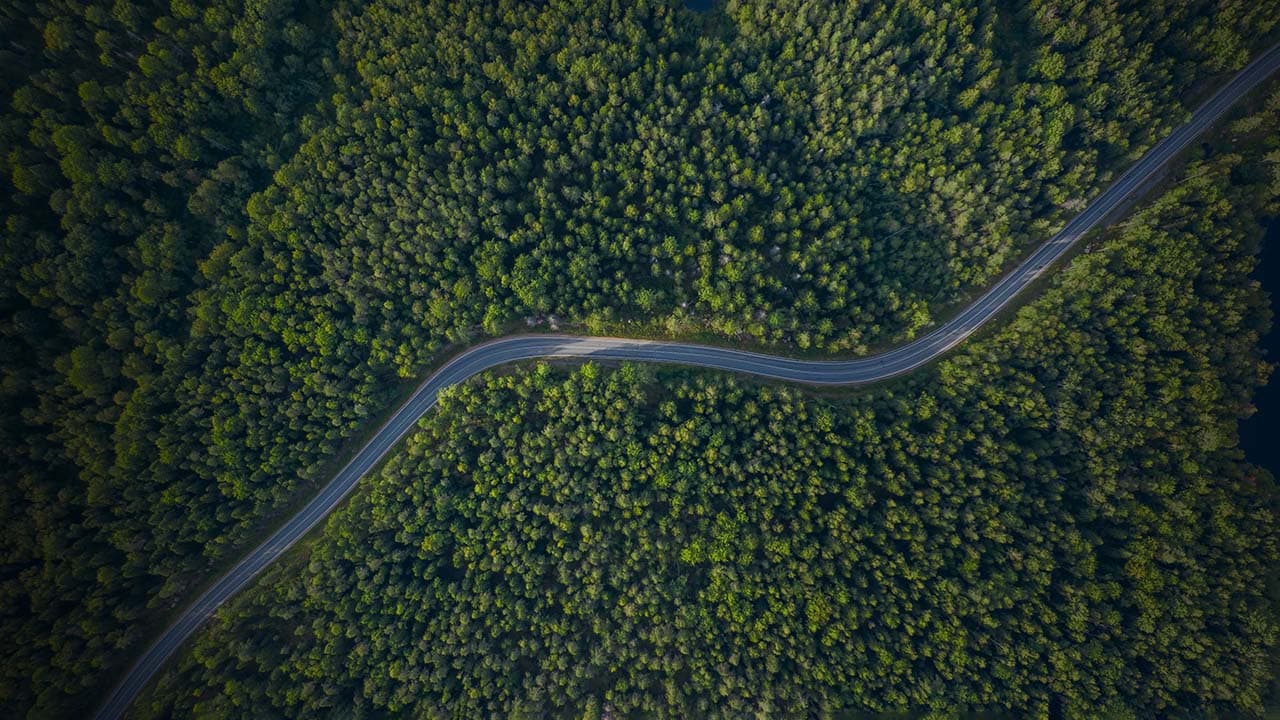 Audi Middle East Drives Sustainable Mobility Through Tree-Nation Initiative — cover image