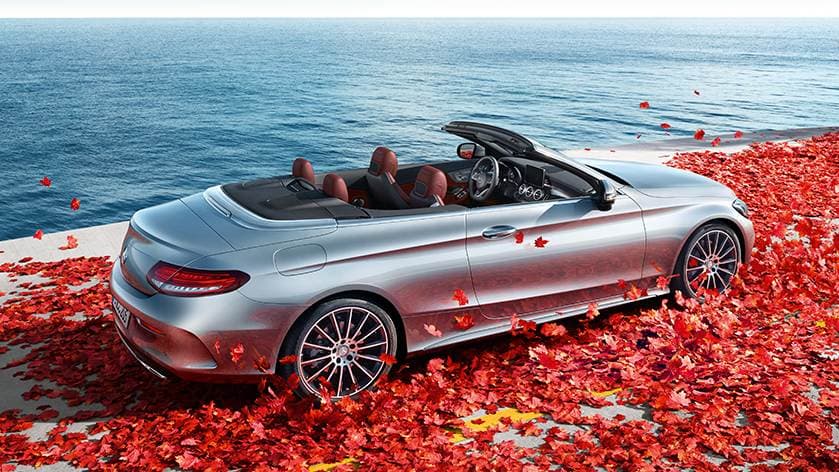 Vehicle gallery image 16