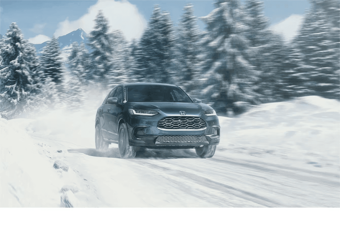 thumbnail image 7