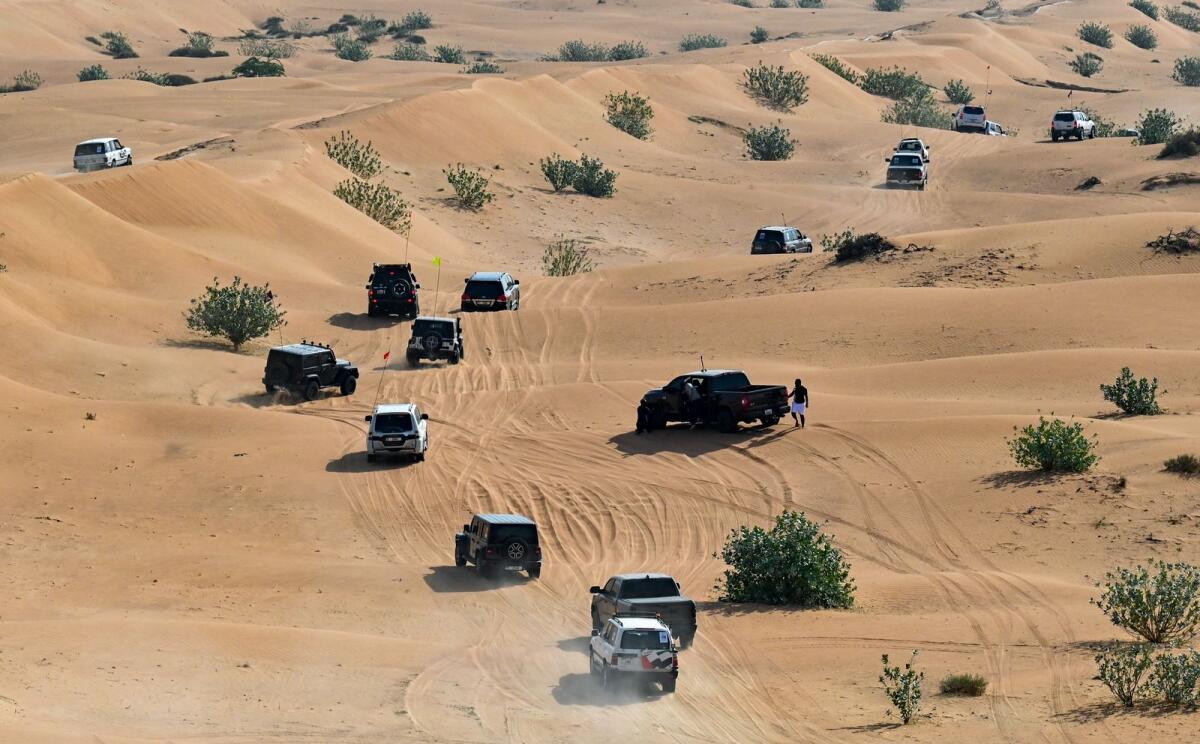 Kt Desert drive cars.jpg