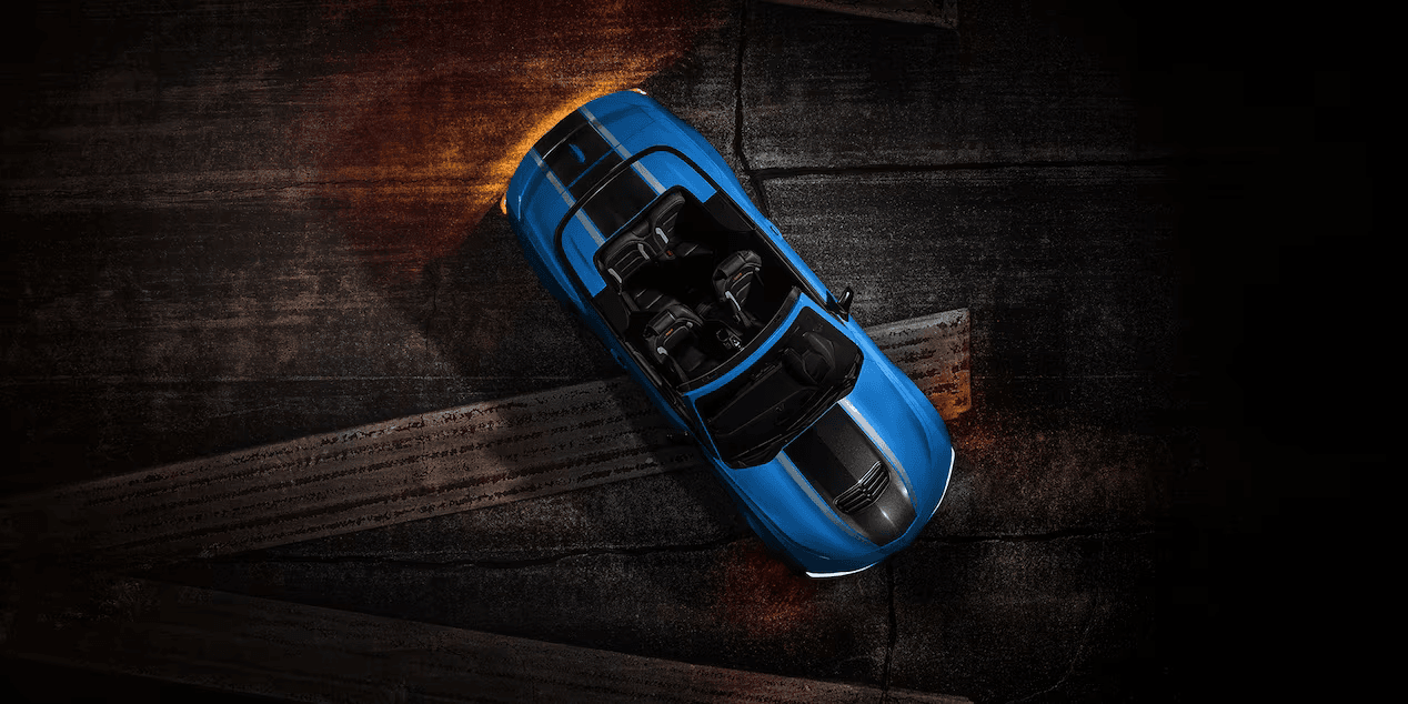 thumbnail image 11