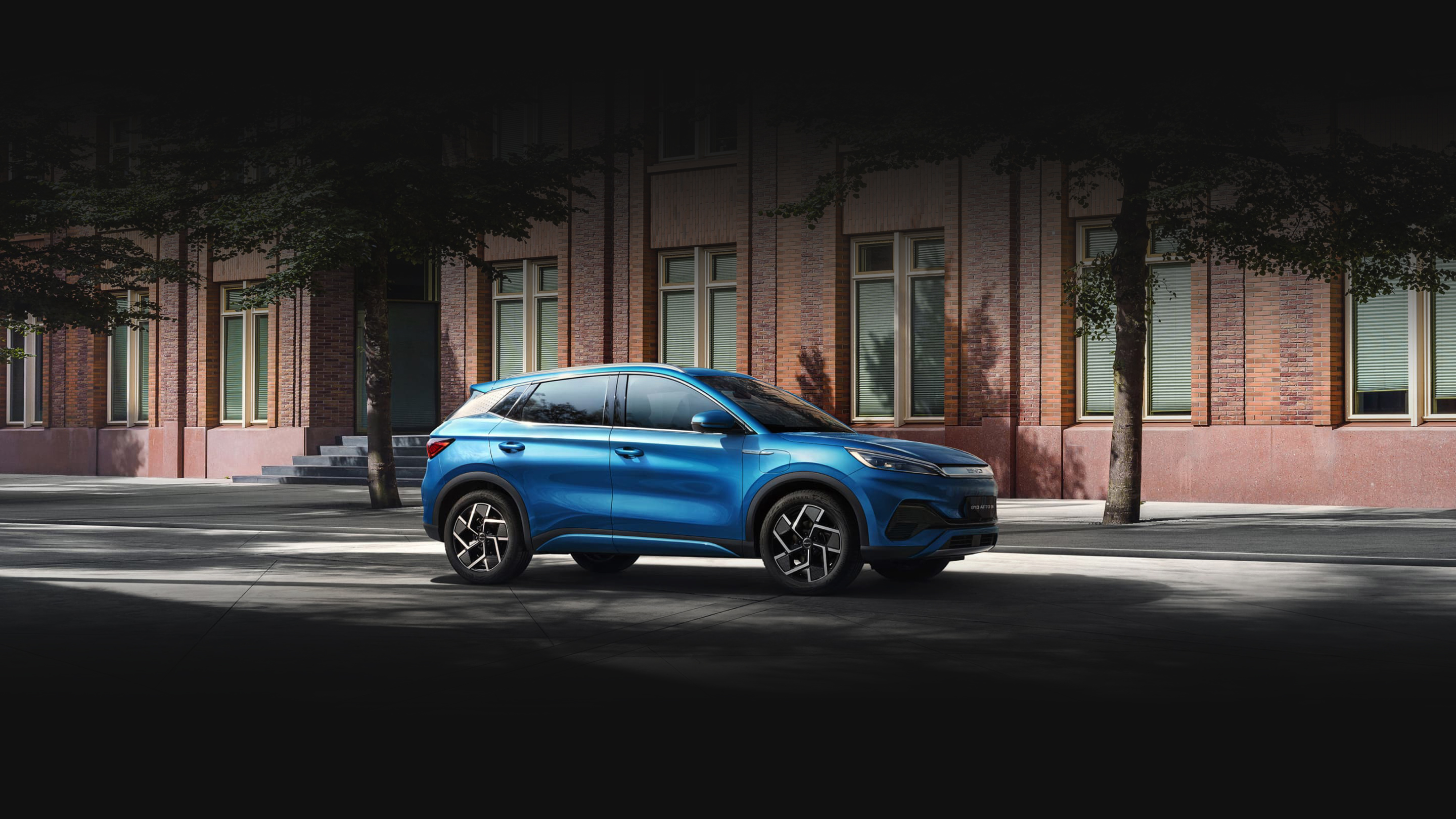 byd atto.jpg