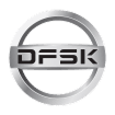 DFSK logo