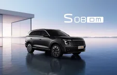 Image of S08