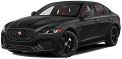 Image of XF