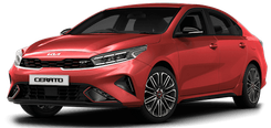 Image of Cerato