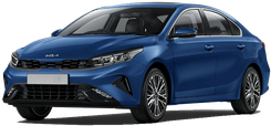 Image of Cerato