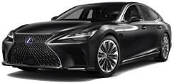 Image of LS