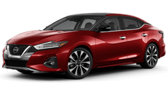 Image of Maxima