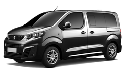 Image of Traveller