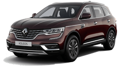 Image of Koleos